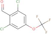 2,6-Dichloro-4-(Trifluoromethoxy)Benzaldehyde