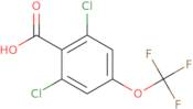 2,6-Dichloro-4-(Trifluoromethoxy)Benzoic Acid