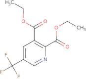 Diethyl 5-(Trifluoromethyl)-2,3-Pyridinedicarboxylate