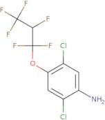 2,5-Dichloro-4-(1,1,2,3,3,3-hexafluoropropoxy)benzenamine