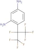 1,3-Diamino-4-(heptafluoroisopropyl)benzene dihydrochloride