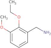 (2-Ethoxy-3-methoxyphenyl)methanaminehydrochloride