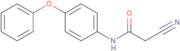 2-Cyano-N-(4-phenoxyphenyl)acetamide