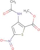 3-Acetylamino-5-nitro-thiophene-2-carboxylic acidmethyl ester