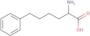 (2S)-2-Amino-6-phenylhexanoic acid