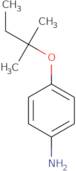 4-[(2-Methylbutan-2-yl)oxy]aniline