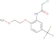 2-Chloro-N-[2-(2-methoxyethoxy)-5-(trifluoromethyl)phenyl]acetamide