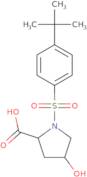 (2S,4R)-1-(4-tert-Butylbenzenesulfonyl)-4-hydroxypyrrolidine-2-carboxylic acid