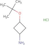 rac-(1R,3R)-3-(tert-Butoxy)cyclobutan-1-amine hydrochloride