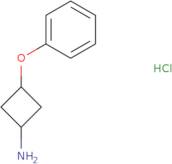 3-Phenoxycyclobutan-1-amine hydrochloride