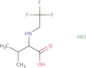 (2S)-3-Methyl-2-[(2,2,2-trifluoroethyl)amino]butanoic acid hydrochloride