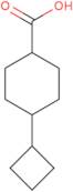 Rel-(1R,4R)-4-cyclobutylcyclohexane-1-carboxylic acid