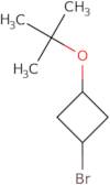 1-Bromo-3-(tert-butoxy)cyclobutane