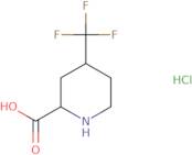 4-(Trifluoromethyl)piperidine-2-carboxylic acid hydrochloride