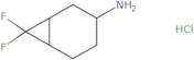 7,7-Difluorobicyclo[4.1.0]heptan-3-amine hydrochloride
