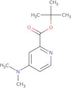 tert-Butyl 4-(dimethylamino)pyridine-2-carboxylate