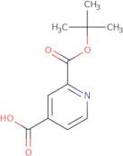 2-[(tert-Butoxy)carbonyl]pyridine-4-carboxylic acid