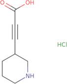 3-(Piperidin-3-yl)prop-2-ynoic acid hydrochloride