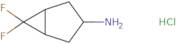 6,6-difluorobicyclo[3.1.0]hexan-3-amine hydrochloride