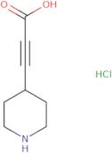 3-(Piperidin-4-yl)prop-2-ynoic acid hydrochloride