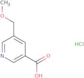 5-(Methoxymethyl)pyridine-3-carboxylic acid hydrochloride