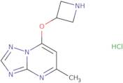 7-(Azetidin-3-yloxy)-5-methyl-[1,2,4]triazolo[1,5-a]pyrimidine hydrochloride