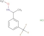 Methoxy({1-[3-(trifluoromethyl)phenyl]ethyl})amine hydrochloride