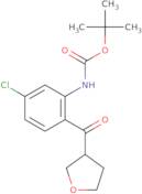 tert-Butyl N-[5-chloro-2-(oxolane-3-carbonyl)phenyl]carbamate