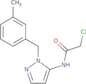 2-Chloro-N-{2-[(3-methylphenyl)methyl]-2,3-dihydro-1H-pyrazol-3-ylidene}acetamide