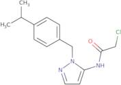 2-Chloro-N-(2-{[4-(propan-2-yl)phenyl]methyl}-2,3-dihydro-1H-pyrazol-3-ylidene)acetamide