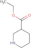 Ethyl nipecotate