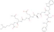 Experimental Allergic Encephalitogenic Peptide (human)