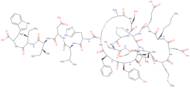 Endothelin-1 (human, bovine, dog, mouse, porcine, rat) trifluoroacetate salt