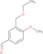 3-(Ethoxymethyl)-4-methoxybenzaldehyde