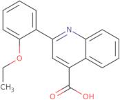 2-(2-Ethoxyphenyl)quinoline-4-carboxylic acid