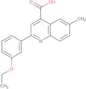 2-(3-Ethoxyphenyl)-6-methylquinoline-4-carboxylic acid