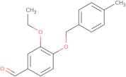 3-Ethoxy-4-[(4-methylbenzyl)oxy]benzaldehyde