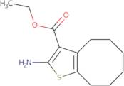 Ethyl 2-amino-4,5,6,7,8,9-hexahydrocycloocta[b]thiophene-3-carboxylate