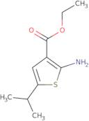 Ethyl 2-amino-5-isopropylthiophene-3-carboxylate
