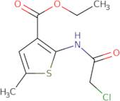 Ethyl 2-[(chloroacetyl)amino]-5-methylthiophene-3-carboxylate