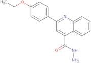 2-(4-Ethoxyphenyl)quinoline-4-carbohydrazide