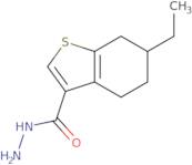 6-Ethyl-4,5,6,7-tetrahydro-1-benzothiophene-3-carbohydrazide