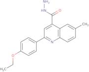 2-(4-Ethoxyphenyl)-6-methylquinoline-4-carbohydrazide