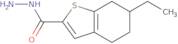 6-Ethyl-4,5,6,7-tetrahydro-1-benzothiophene-2-carbohydrazide