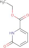 Ethyl 6-hydroxypyridine-2-carboxylate