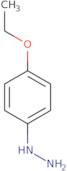 (4-Ethoxyphenyl)hydrazine hydrochloride