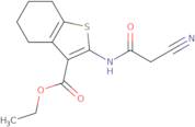 Ethyl 2-[(cyanoacetyl)amino]-4,5,6,7-tetrahydro-1-benzothiophene-3-carboxylate
