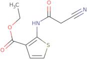 Ethyl 2-[(cyanoacetyl)amino]thiophene-3-carboxylate