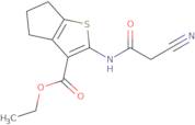 Ethyl 2-[(cyanoacetyl)amino]-5,6-dihydro-4H-cyclopenta[b]thiophene-3-carboxylate