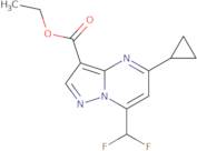 Ethyl 5-cyclopropyl-7-(difluoromethyl)pyrazolo[1,5-a]pyrimidine-3-carboxylate